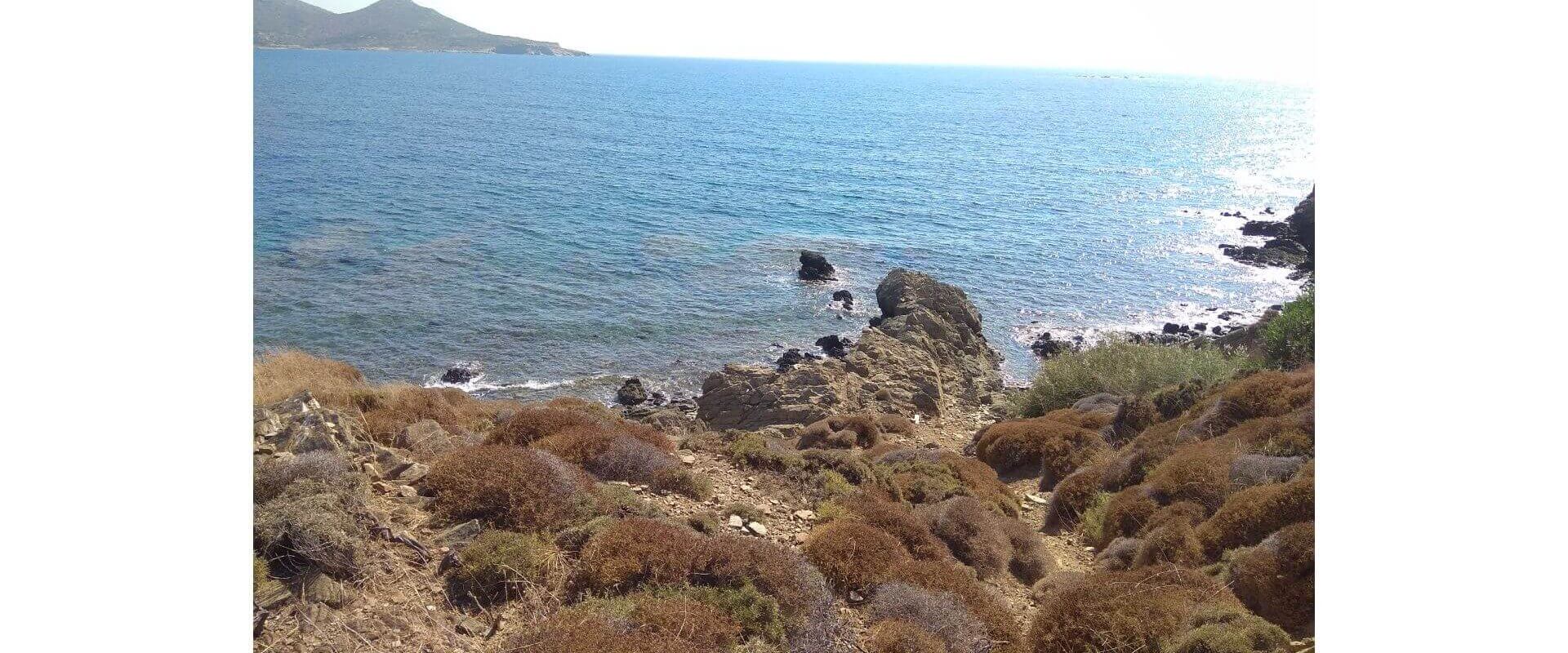 Leros Seaside plot Agios Isidoros L 662
