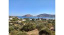 Alinda Leros plot for sale L666