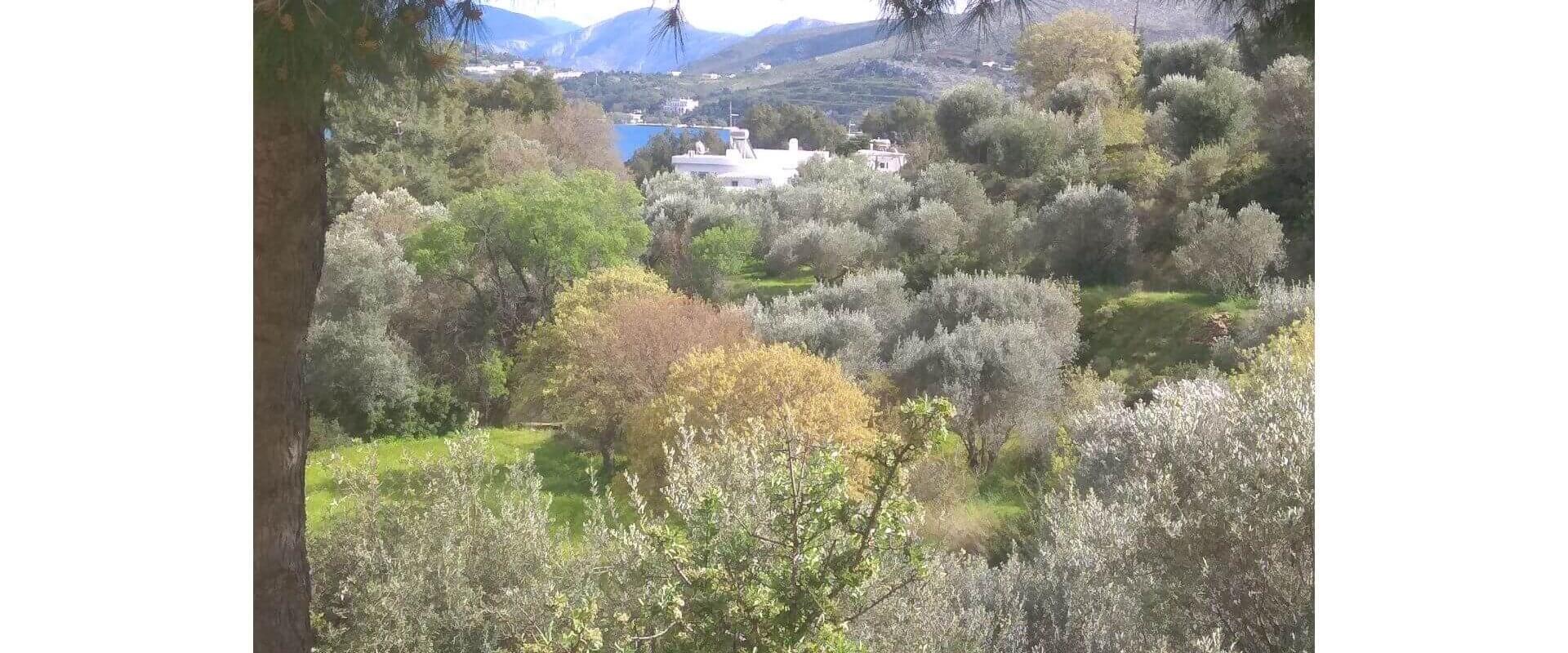 House for sale in Leros L 673