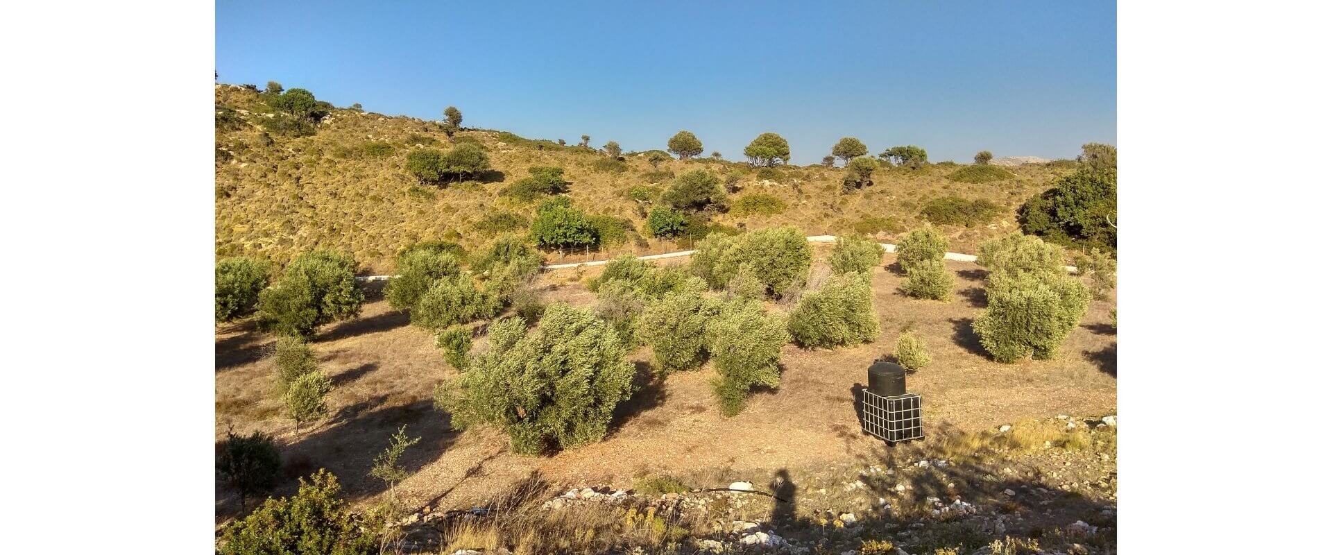 Kokkina Leros plot for sale L694
