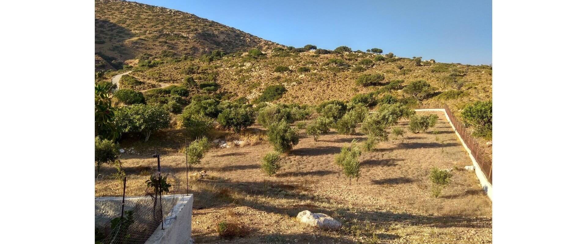 Kokkina Leros plot for sale L694
