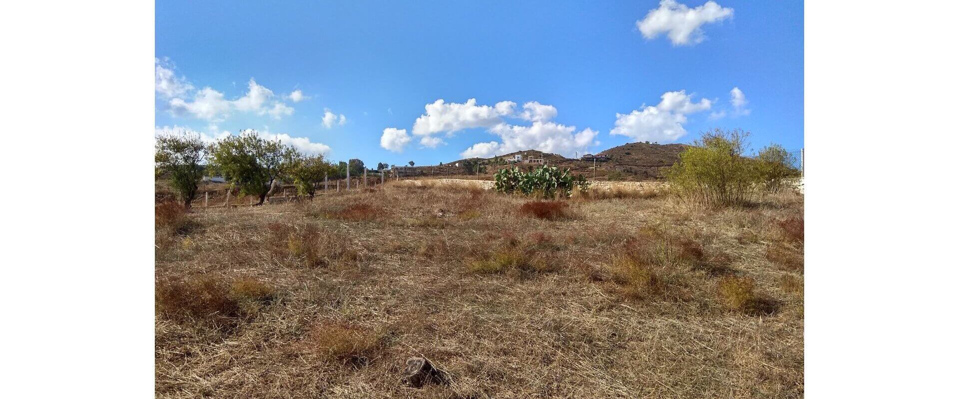 Land for sale Alinda L 723