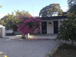 Old house for sale Leros L 743