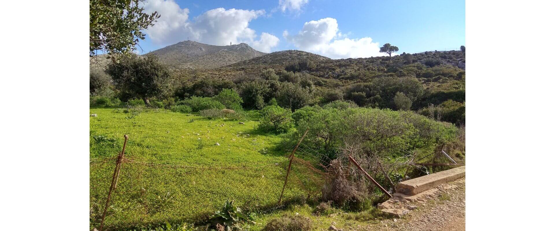 Plot for sale Blefouti Leros L 752