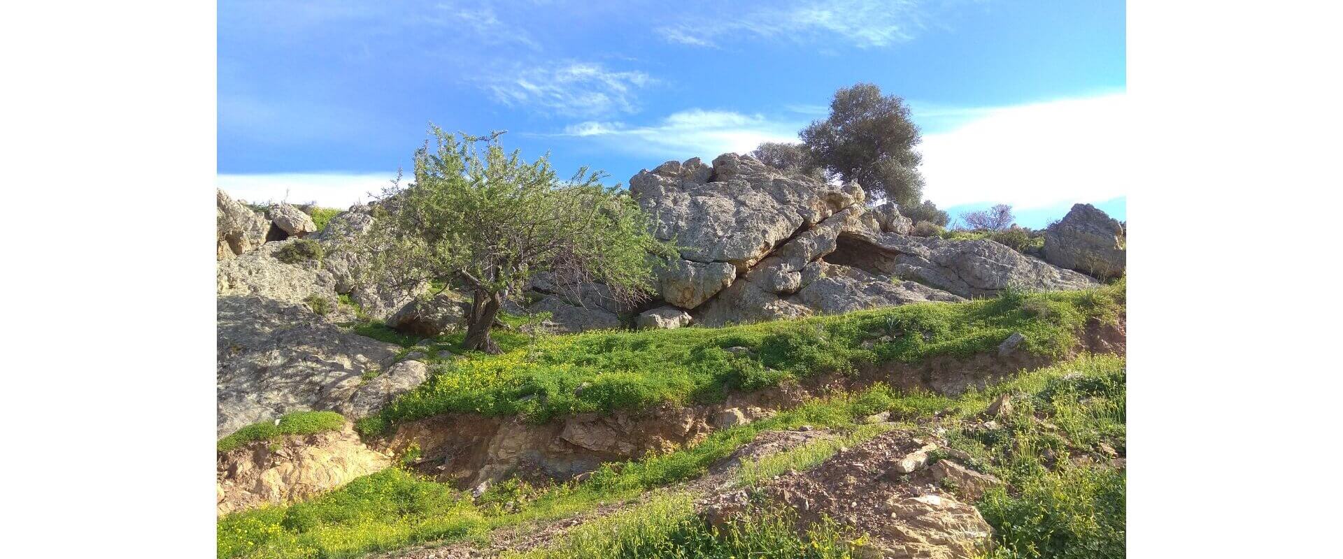 Plot for sale Temenia L 762