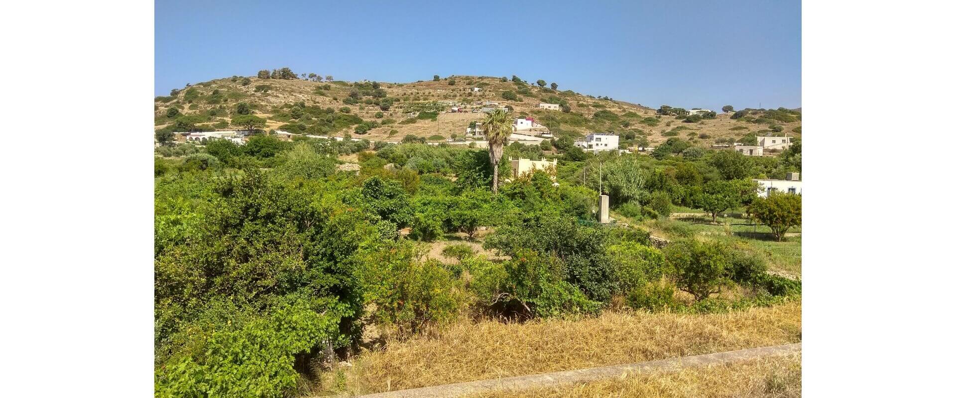 Plot for sale Gourna L 755