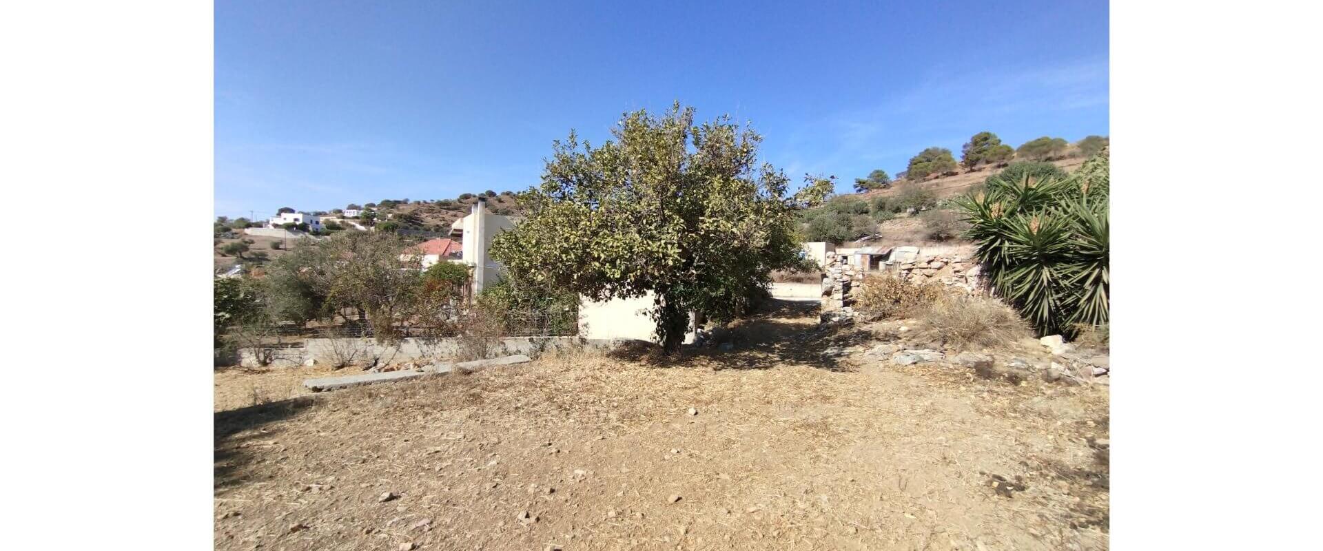 Plot for sale Temenia L 798