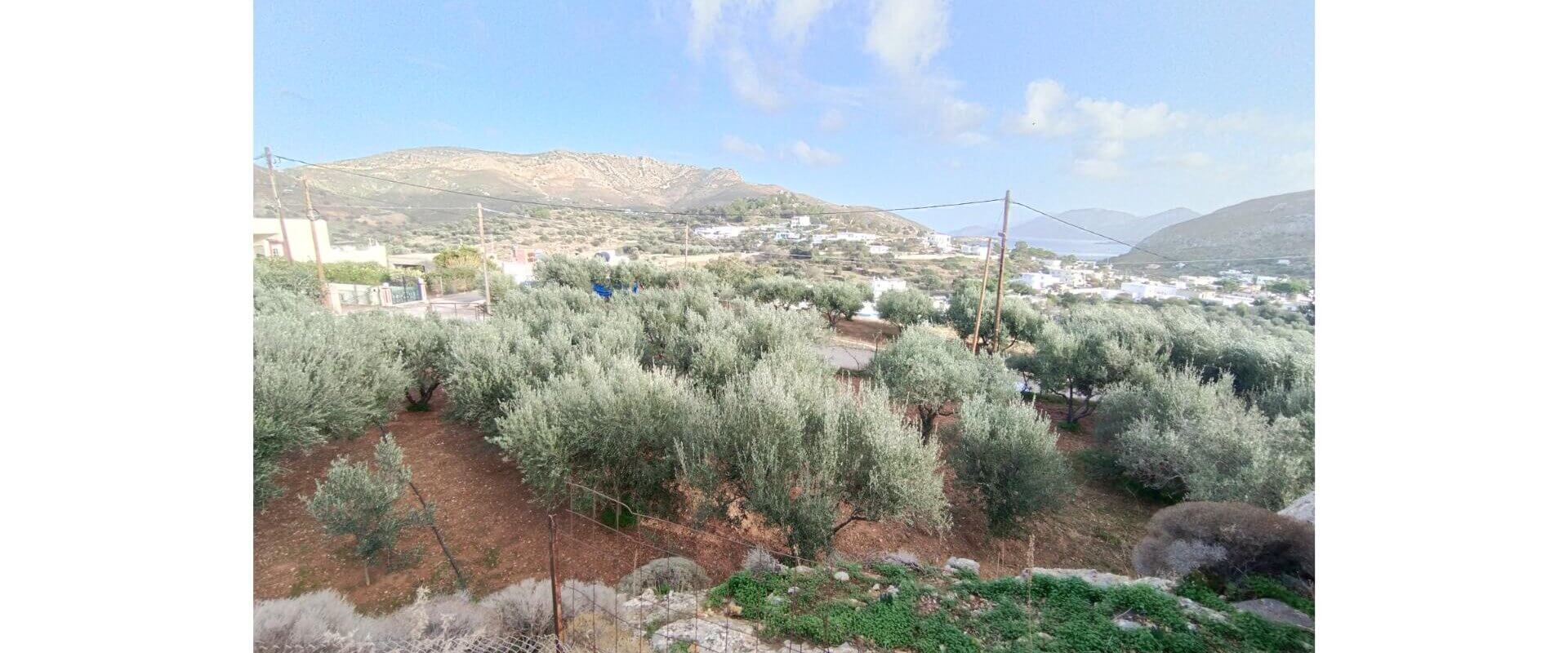 Plot for sale Xerocampos L 785