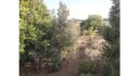 Plot for sale Alinda Leros L 820