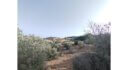 Plot for sale Alinda Leros L 820