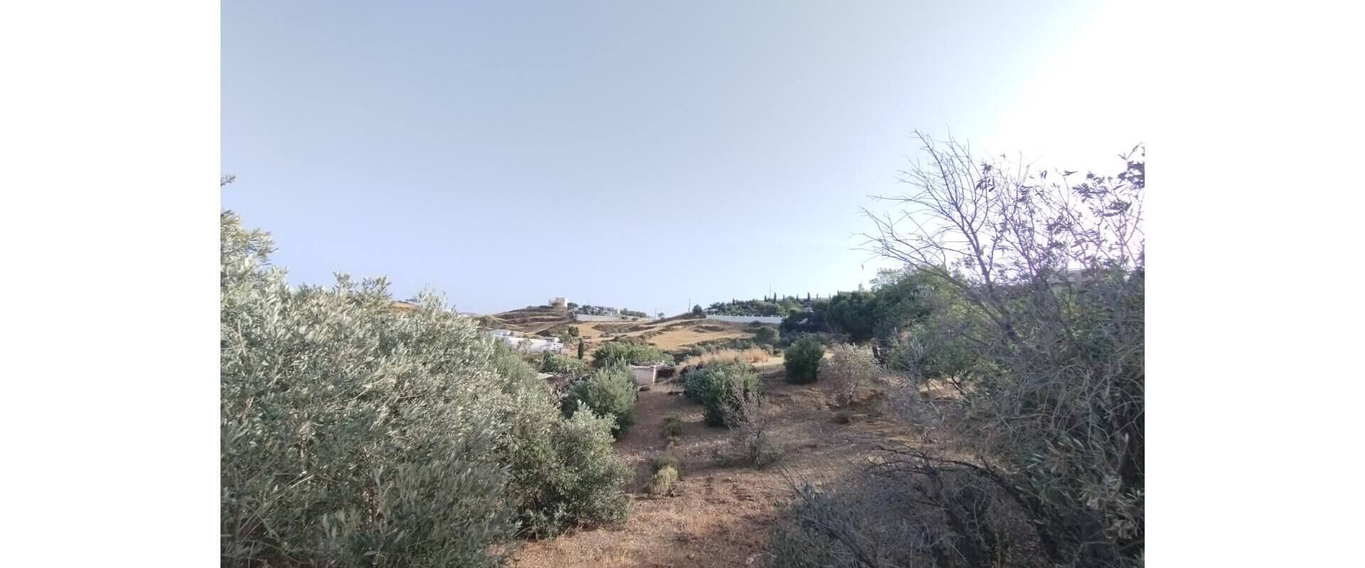 Plot for sale Alinda Leros L 820