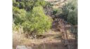Plot for sale Alinda Leros L 820