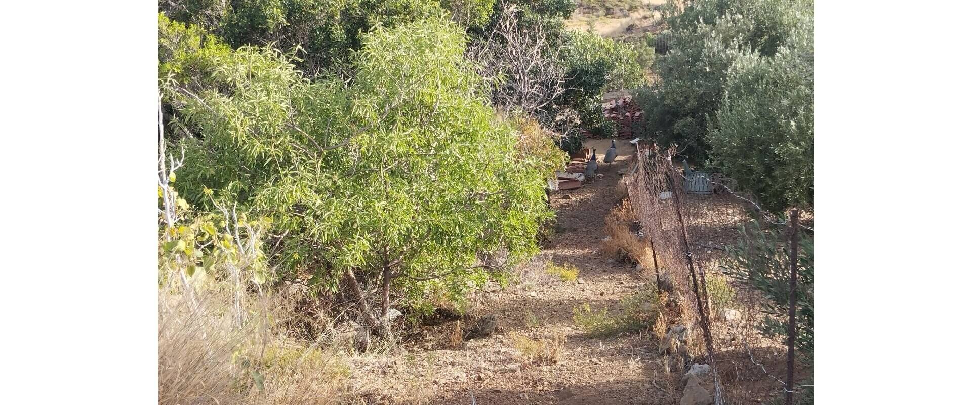 Plot for sale Alinda Leros L 820