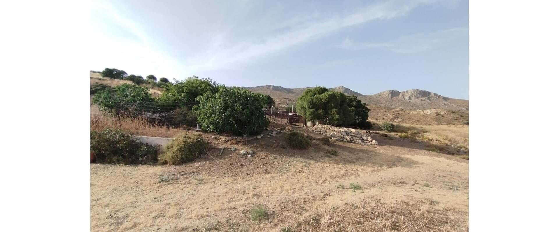 Plot for sale Alinda Leros L 820