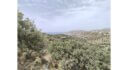 Plot for sale Rachi L 829