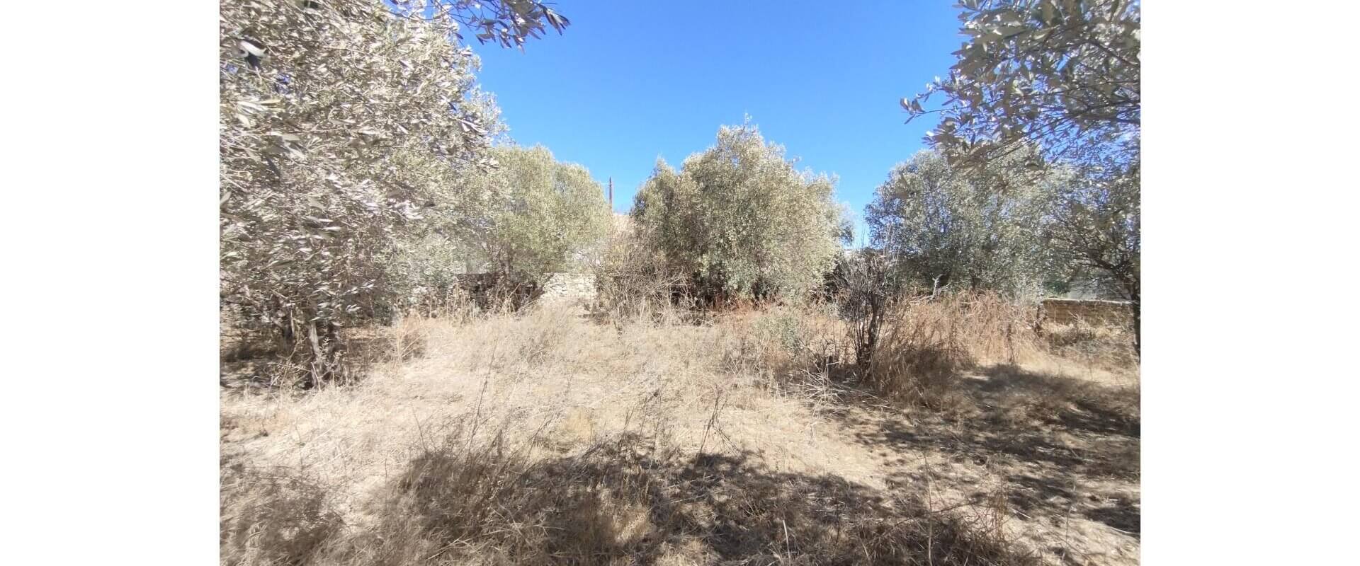 House for sale Vagia L 852