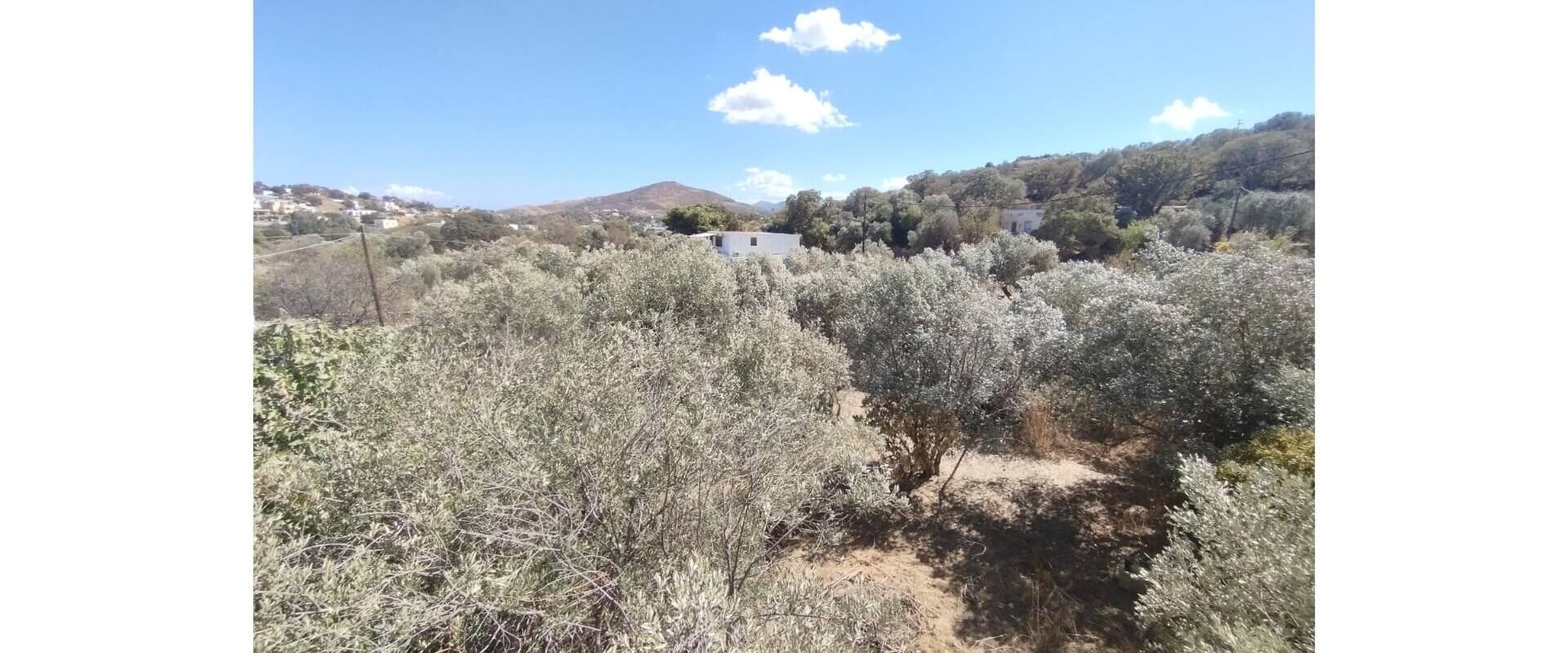 House for sale Vagia L 852