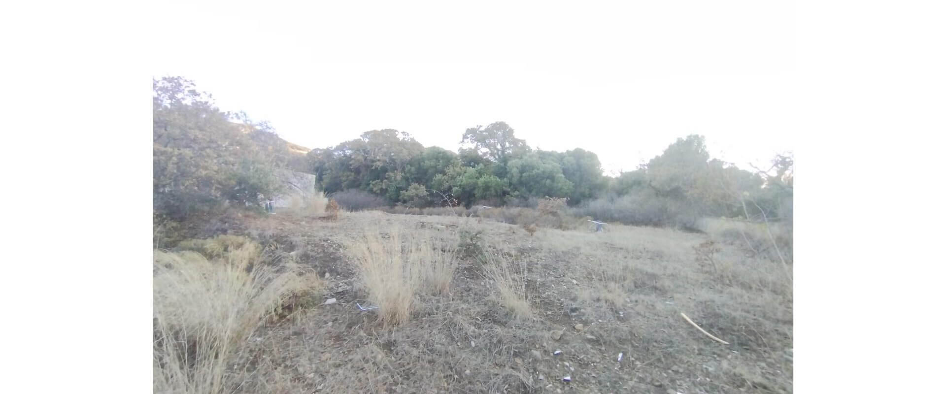 Plot for sale Crithoni L 862