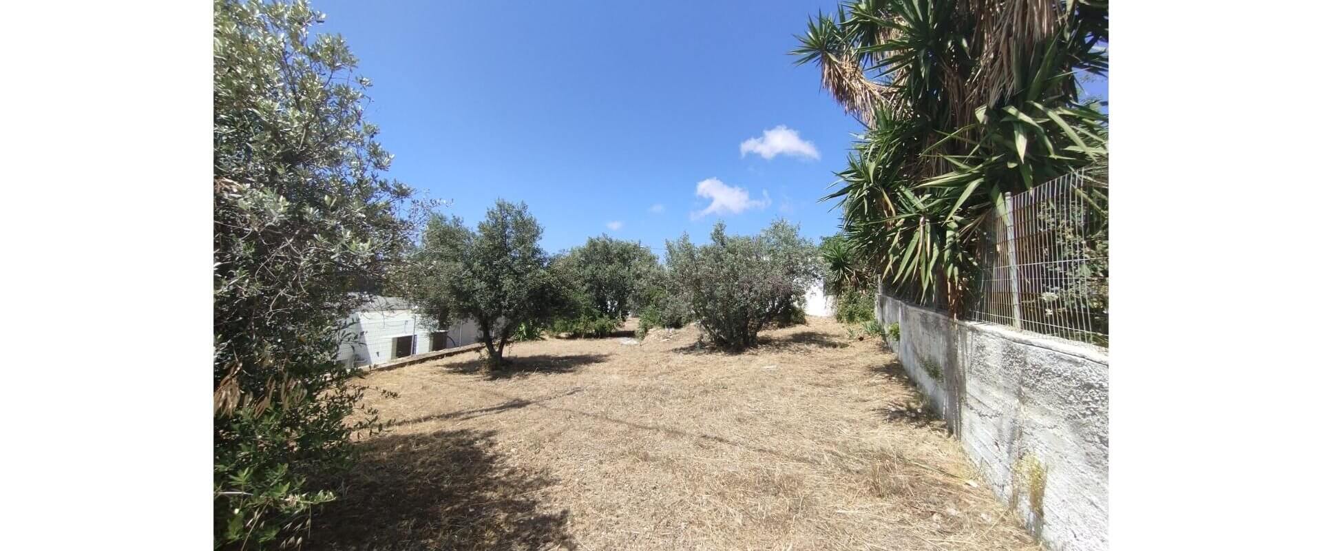 House for sale Kamara L881