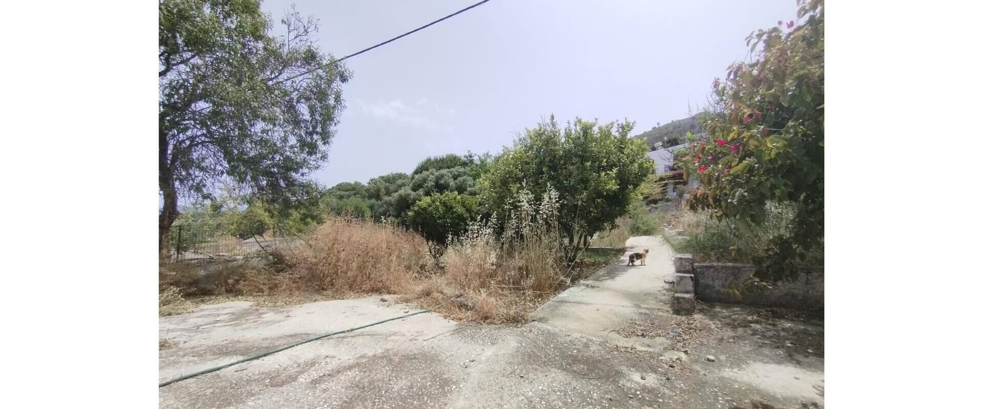 Old residence for sale Crithoni L 876