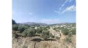 Plot for sale Lakki L 877