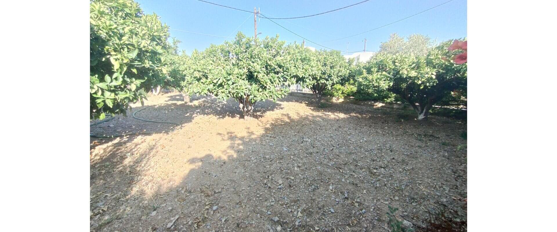 House for sale Alinda L 880