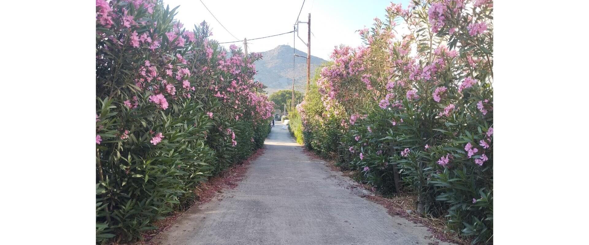 House for sale Alinda L 880