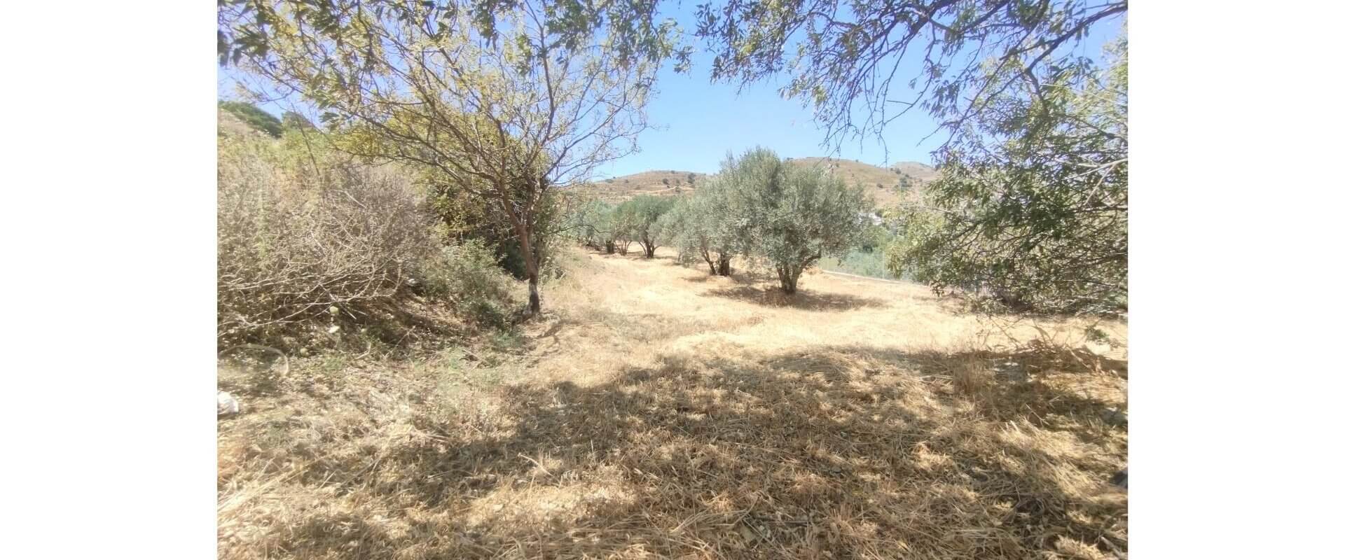 House for sale Kamara L 883