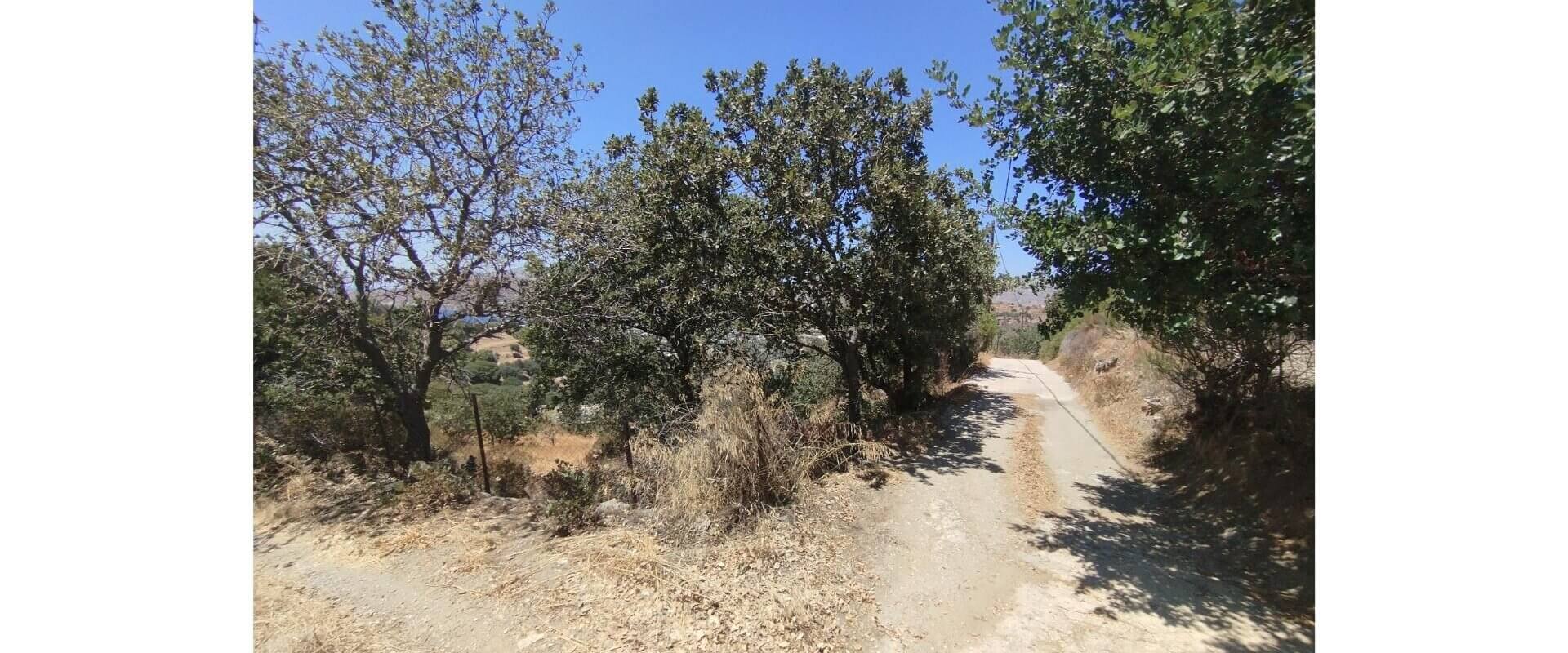 Plot for sale Plaka L 885