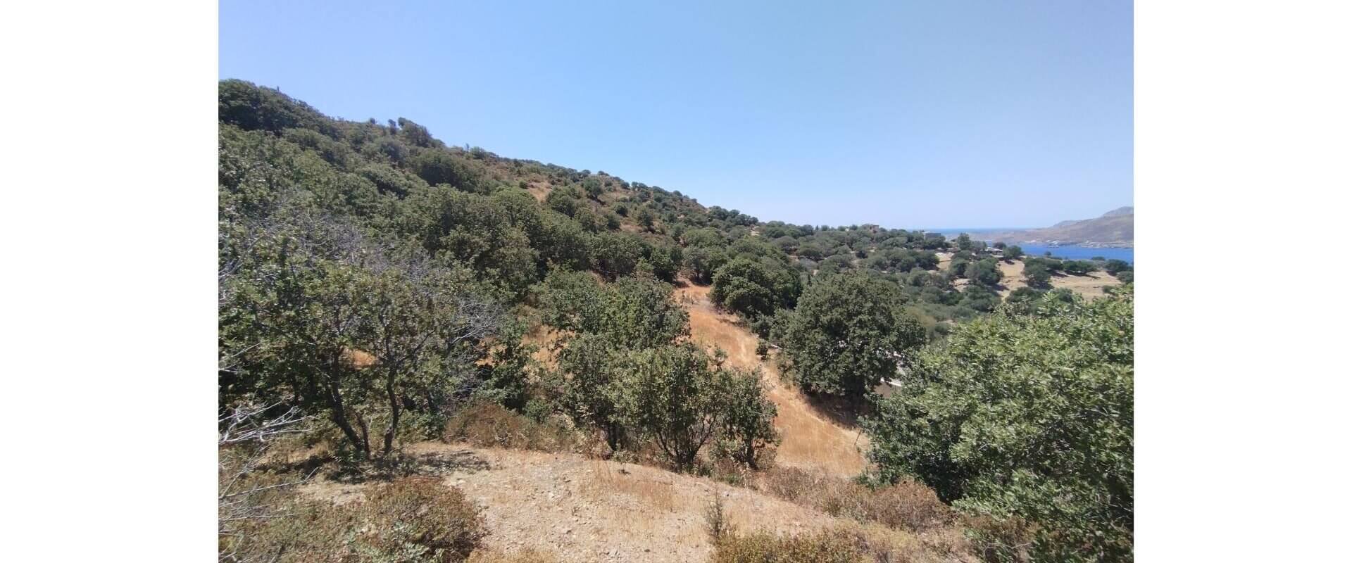 Plot for sale Plaka L 885