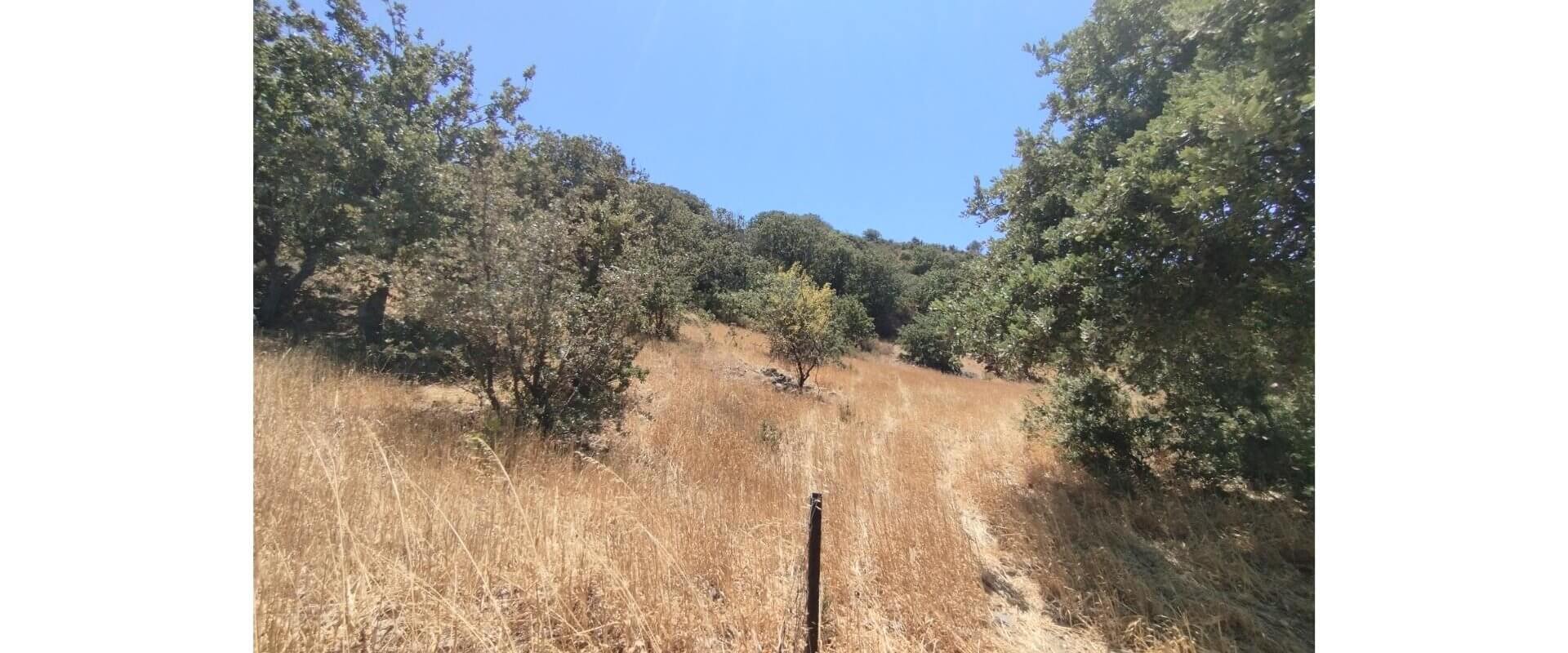 Plot for sale Plaka L 885