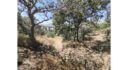 Plot for sale Plaka L 885