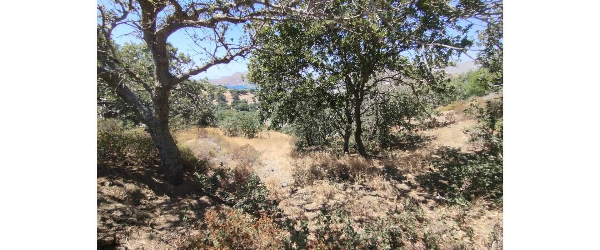 Plot for sale Plaka L 885