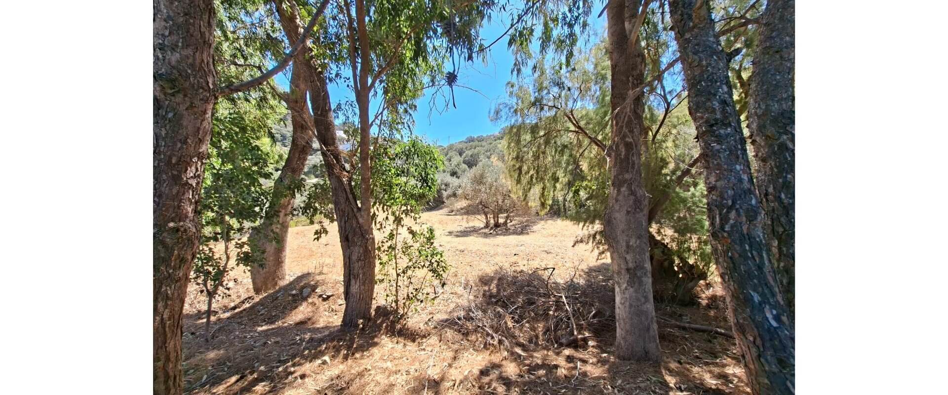Plot for sale Gourna L 891