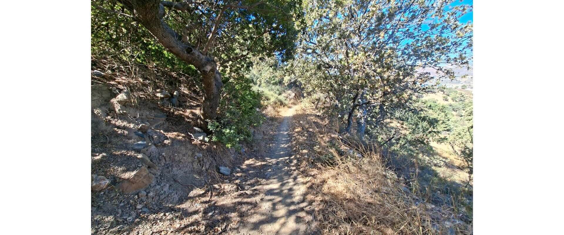 Plot for sale Gourna L 894