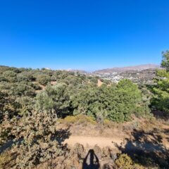 Plot for sale Gourna L 894