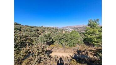 Plot for sale Gourna L 894