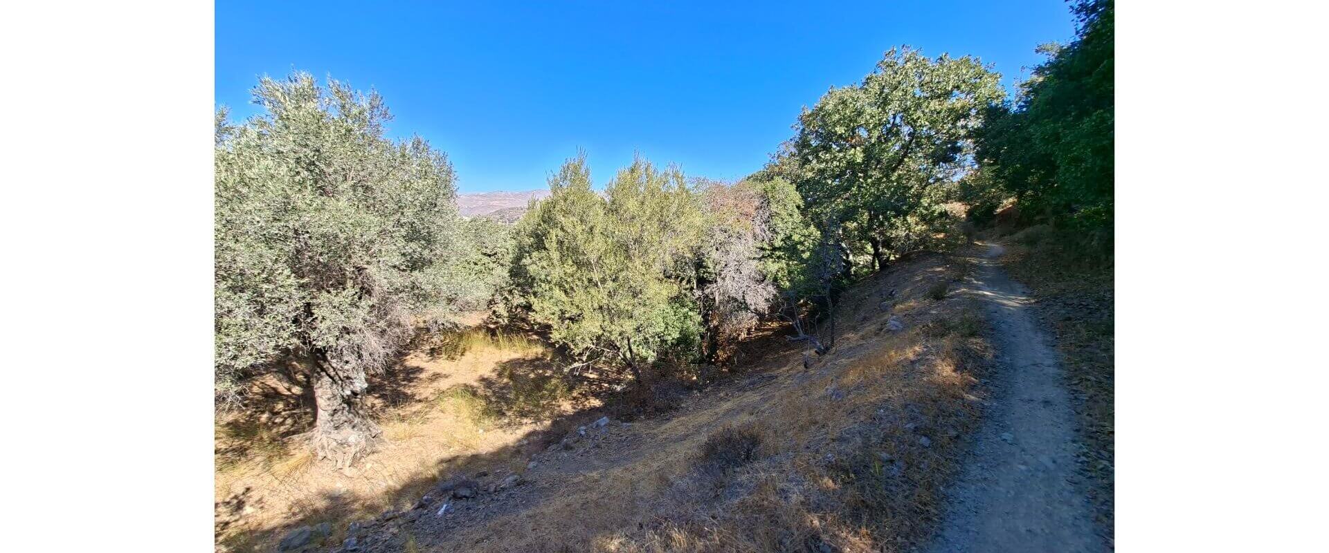 Plot for sale Gourna L 894