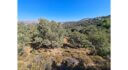 Plot for sale Gourna L 894