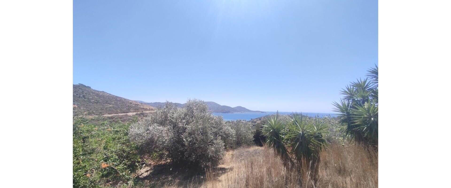 House for sale Gourna L 900
