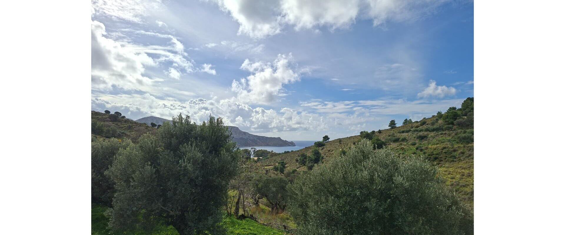 House for sale Kamaraki Leros L 910