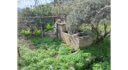 House for sale Kamaraki Leros L 910
