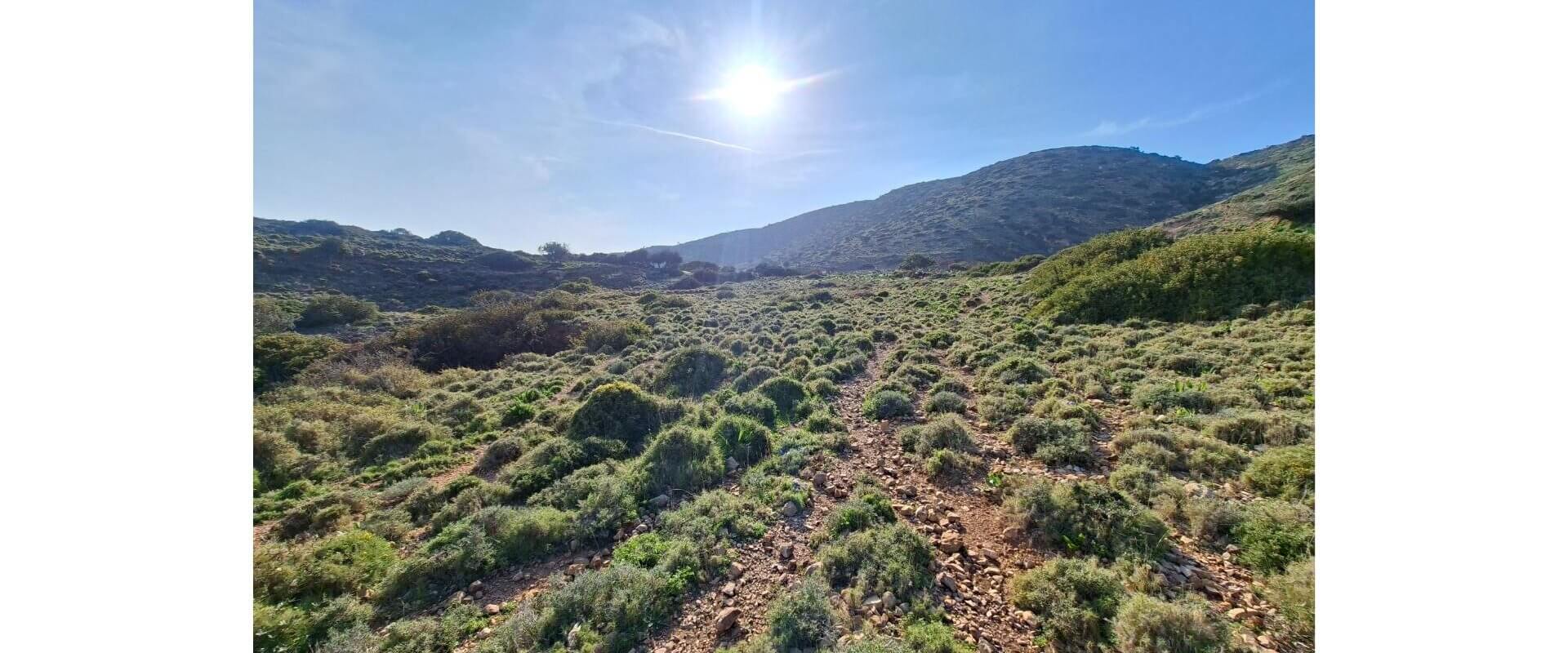 Plot for sale Kokkina Leros L 908