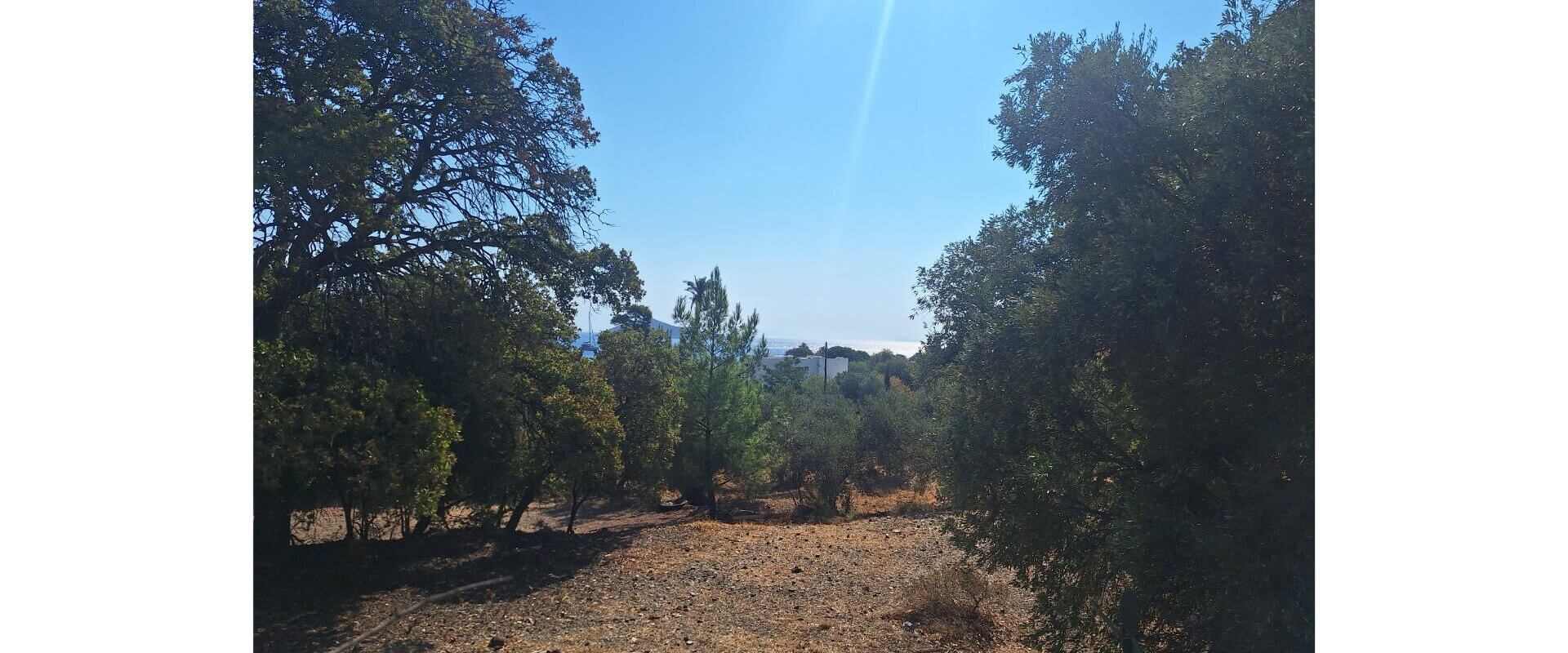 Plot for sale Vromolithos Leros L 916